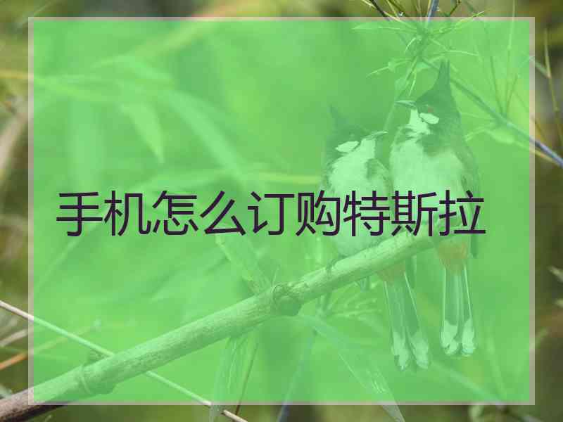 手机怎么订购特斯拉