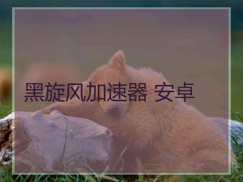 黑旋风加速器 安卓