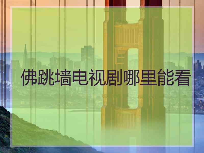 佛跳墙电视剧哪里能看