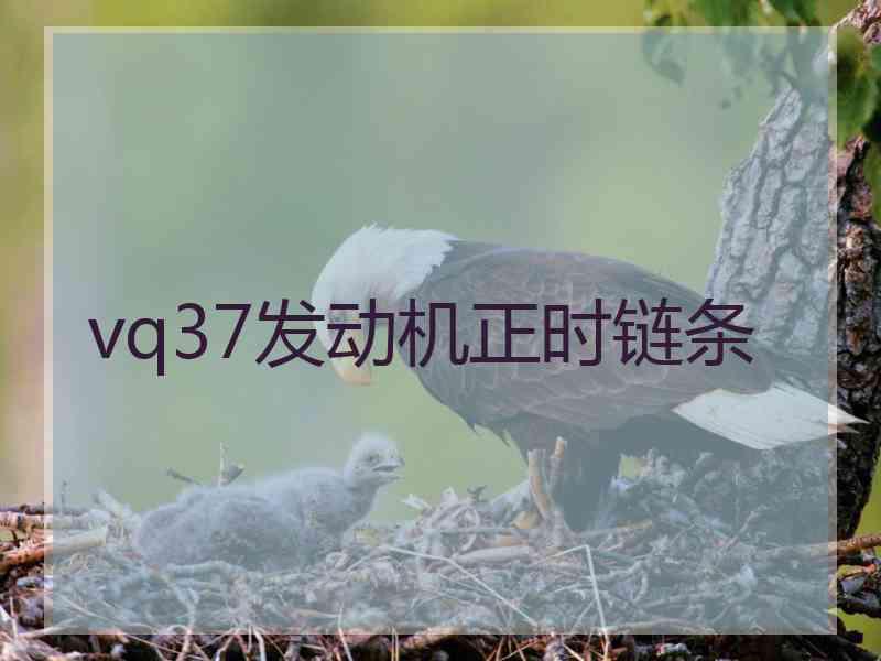 vq37发动机正时链条