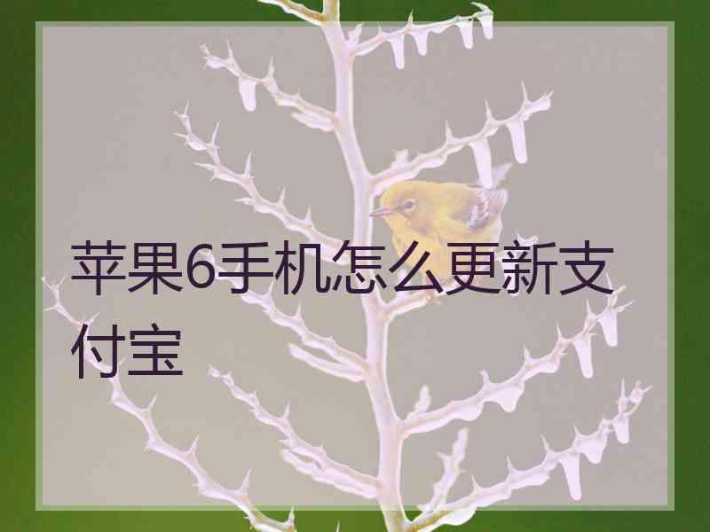 苹果6手机怎么更新支付宝