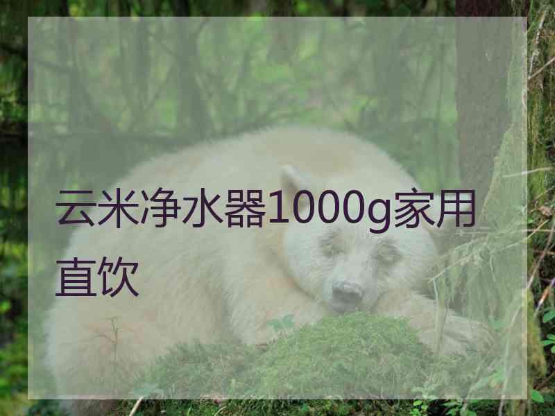 云米净水器1000g家用直饮