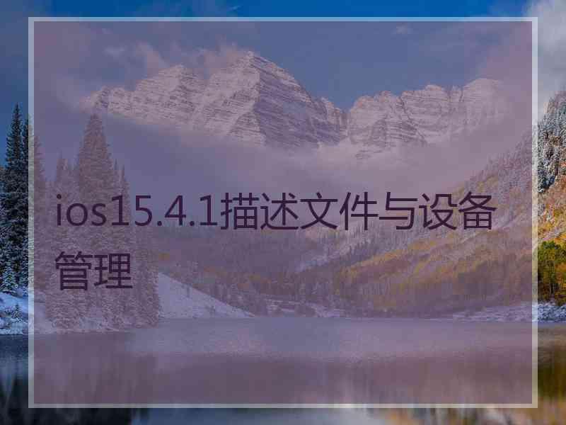 ios15.4.1描述文件与设备管理