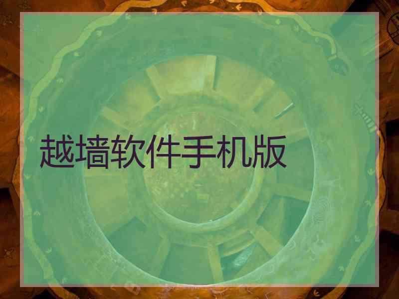 越墙软件手机版