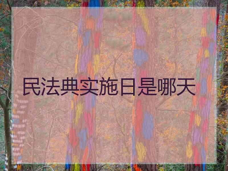 民法典实施日是哪天
