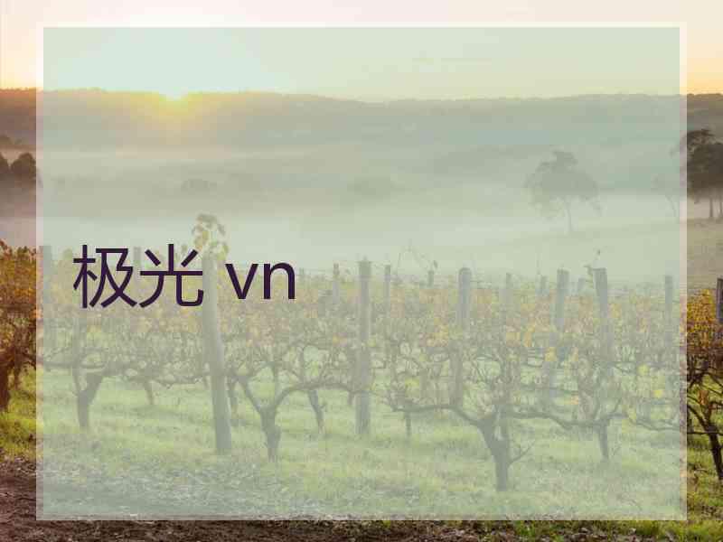 极光 vn