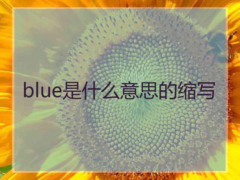 blue是什么意思的缩写