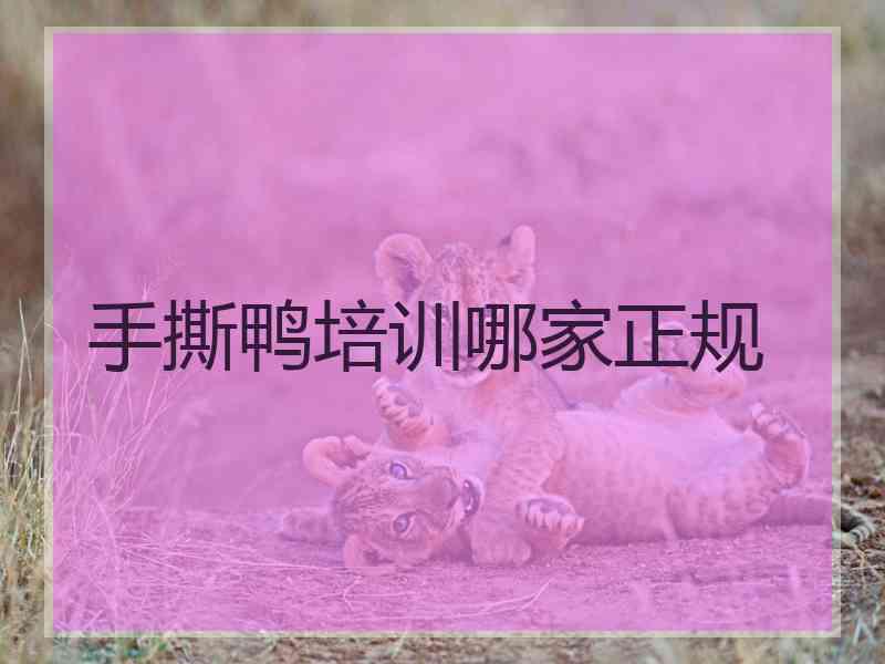 手撕鸭培训哪家正规