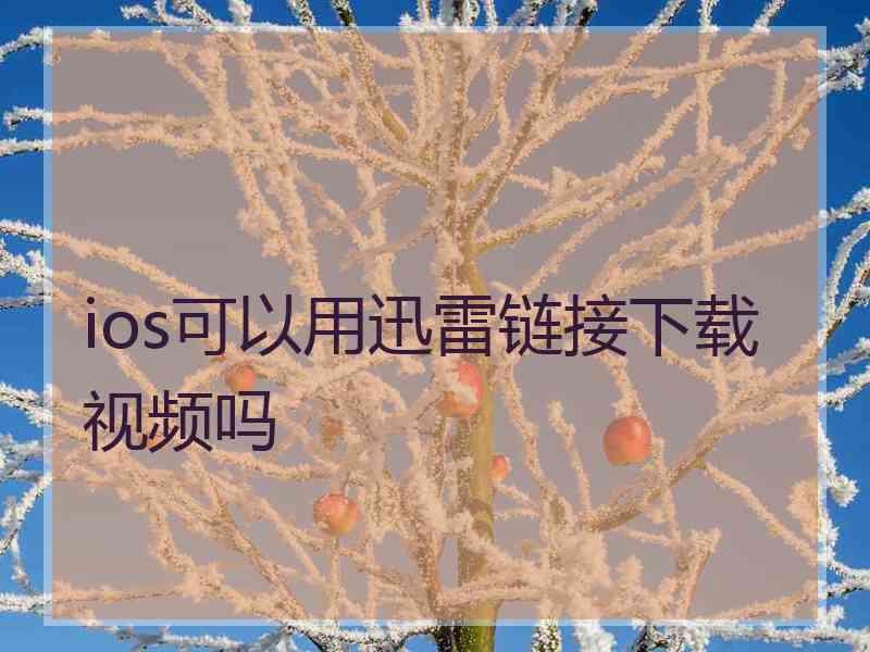 ios可以用迅雷链接下载视频吗