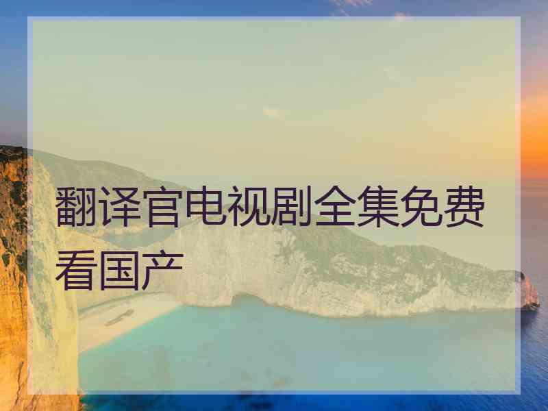 翻译官电视剧全集免费看国产