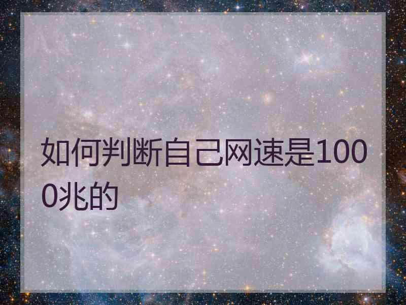如何判断自己网速是1000兆的