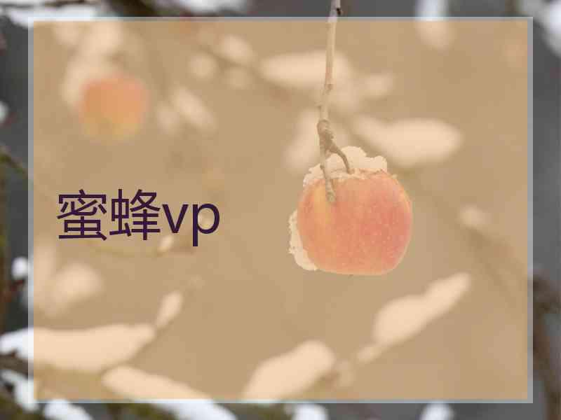 蜜蜂vp