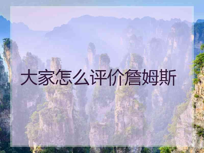 大家怎么评价詹姆斯