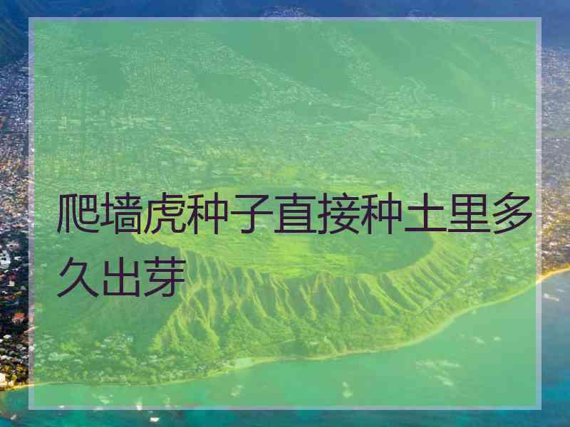 爬墙虎种子直接种土里多久出芽