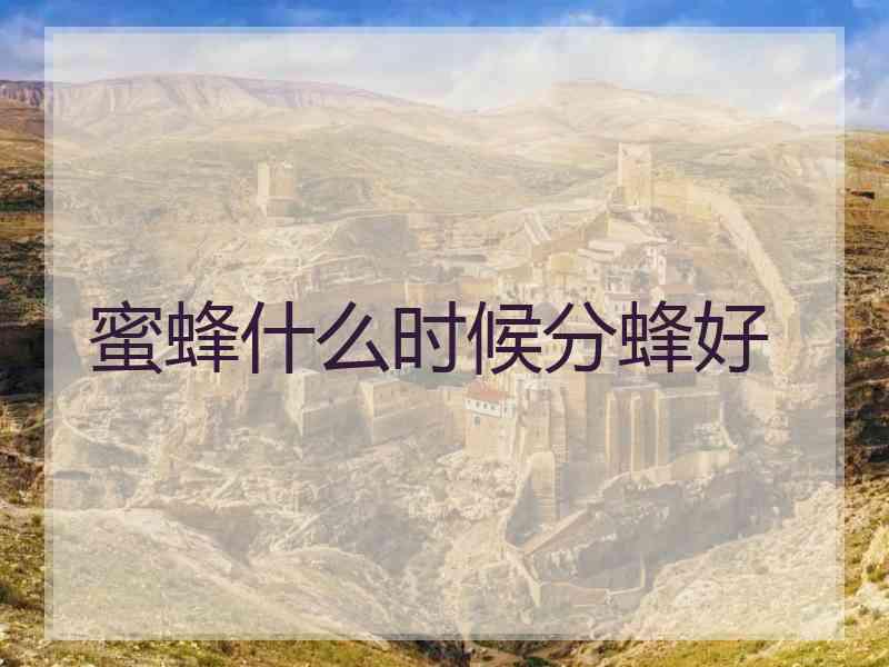 蜜蜂什么时候分蜂好