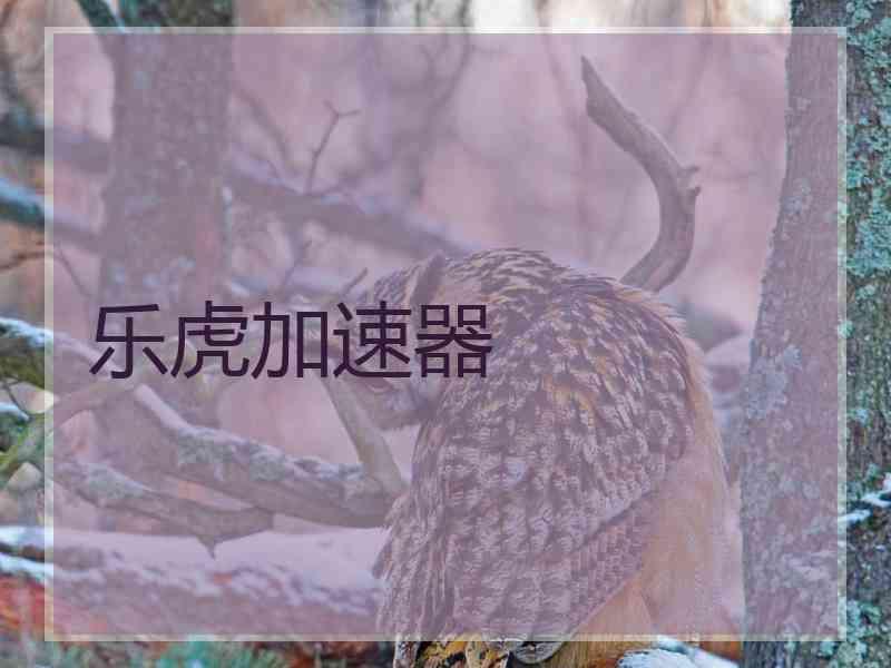 乐虎加速器