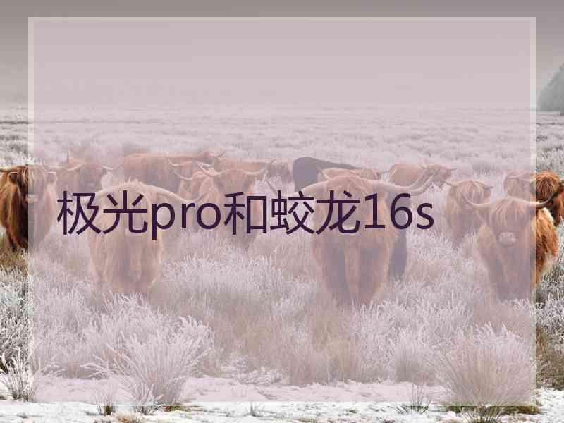 极光pro和蛟龙16s
