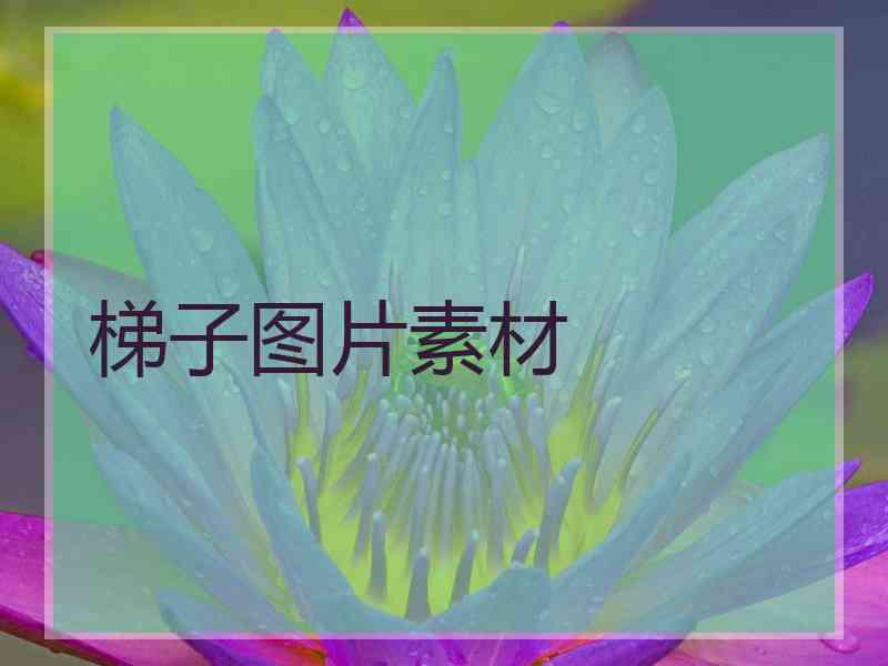 梯子图片素材