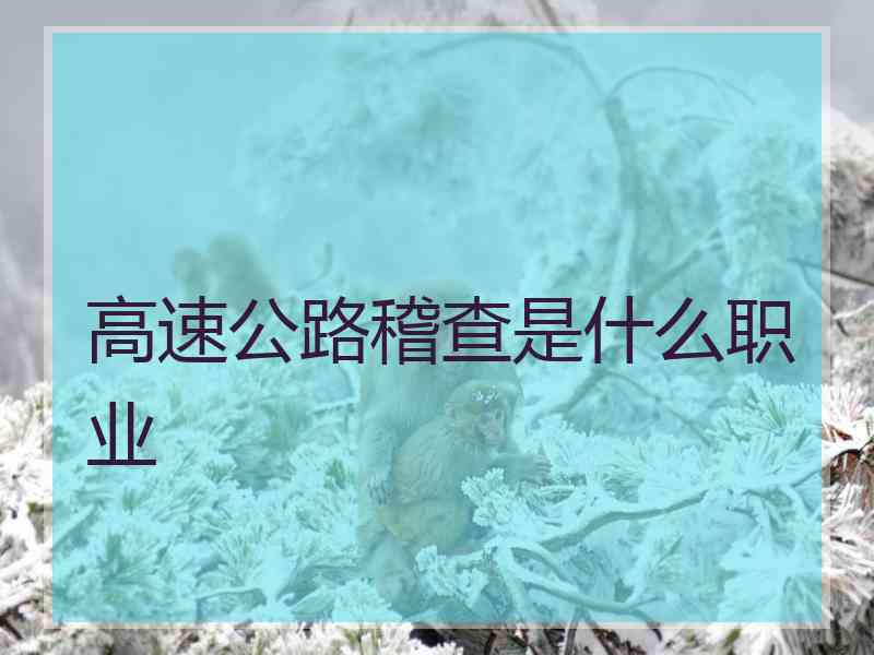 高速公路稽查是什么职业