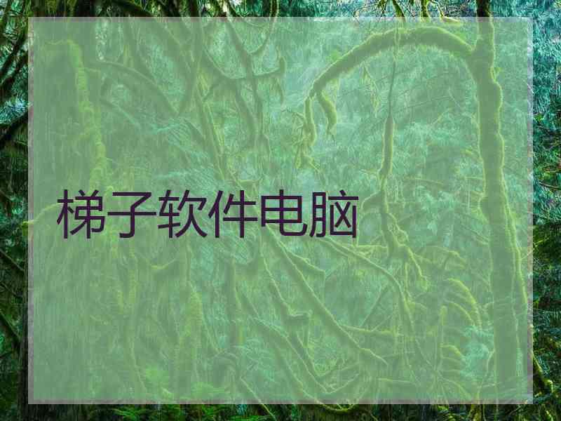 梯子软件电脑