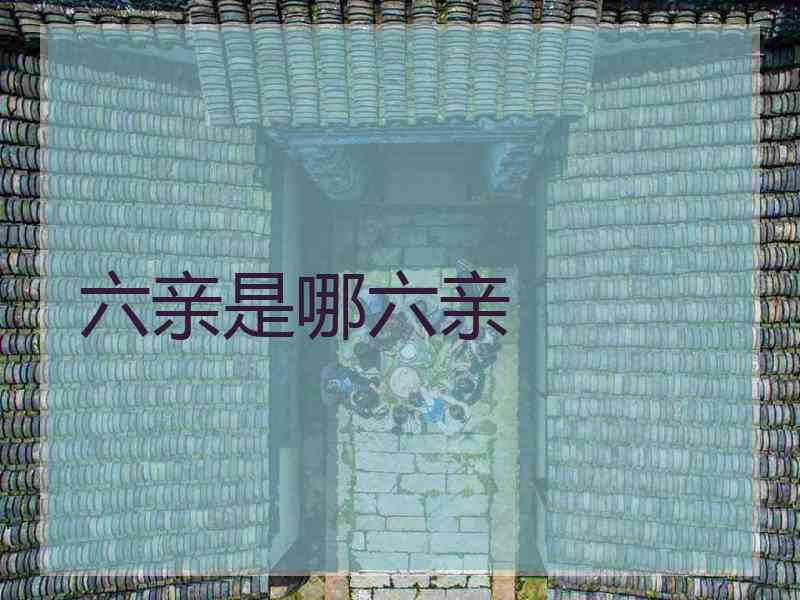 六亲是哪六亲