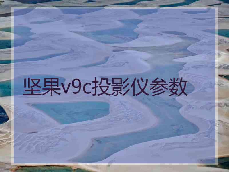 坚果v9c投影仪参数