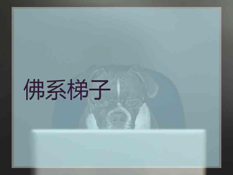 佛系梯子