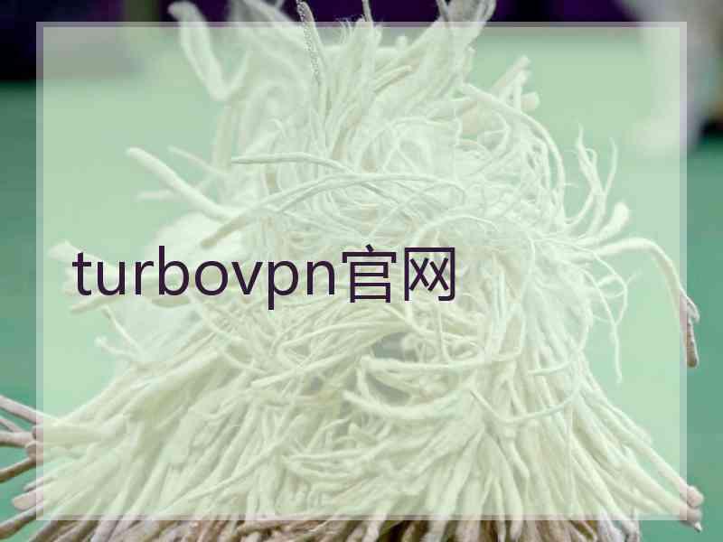 turbovpn官网