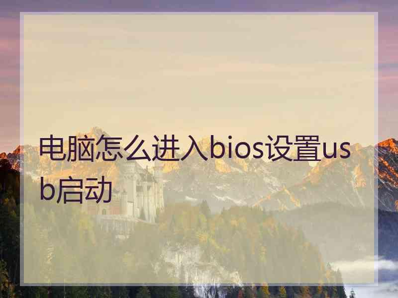 电脑怎么进入bios设置usb启动