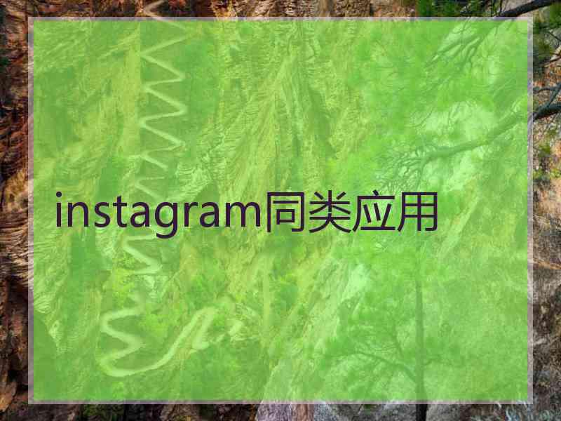 instagram同类应用