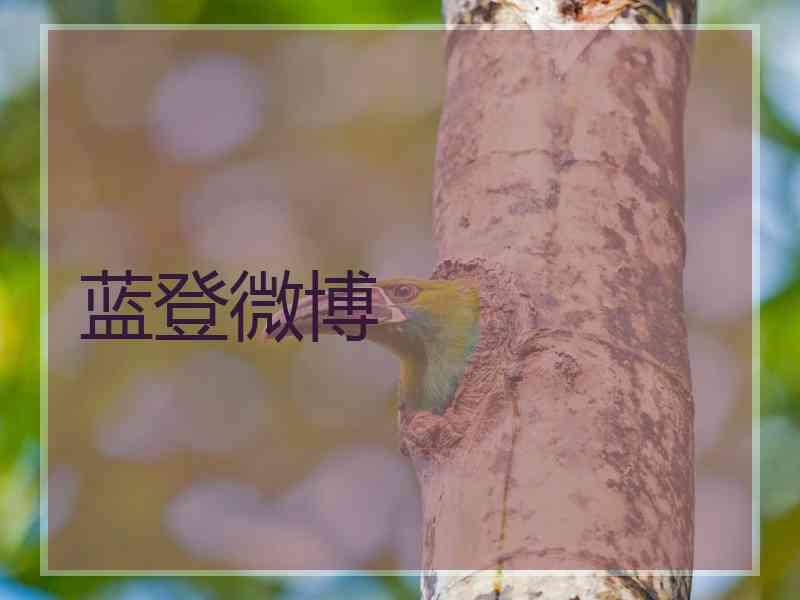 蓝登微博