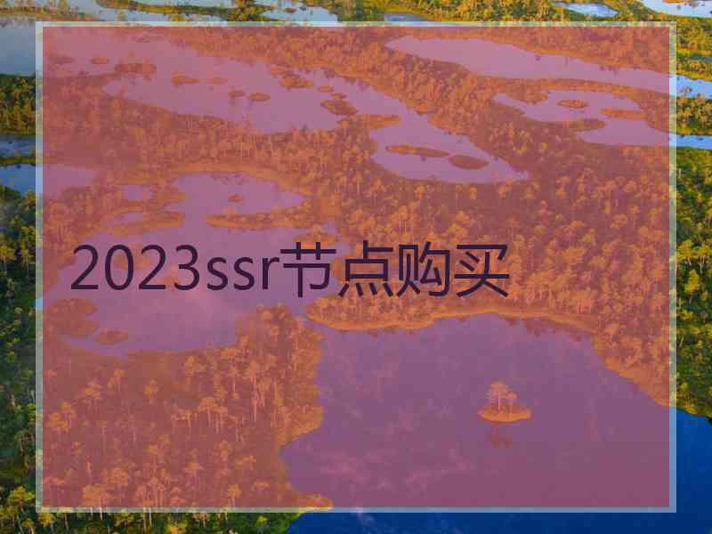 2023ssr节点购买