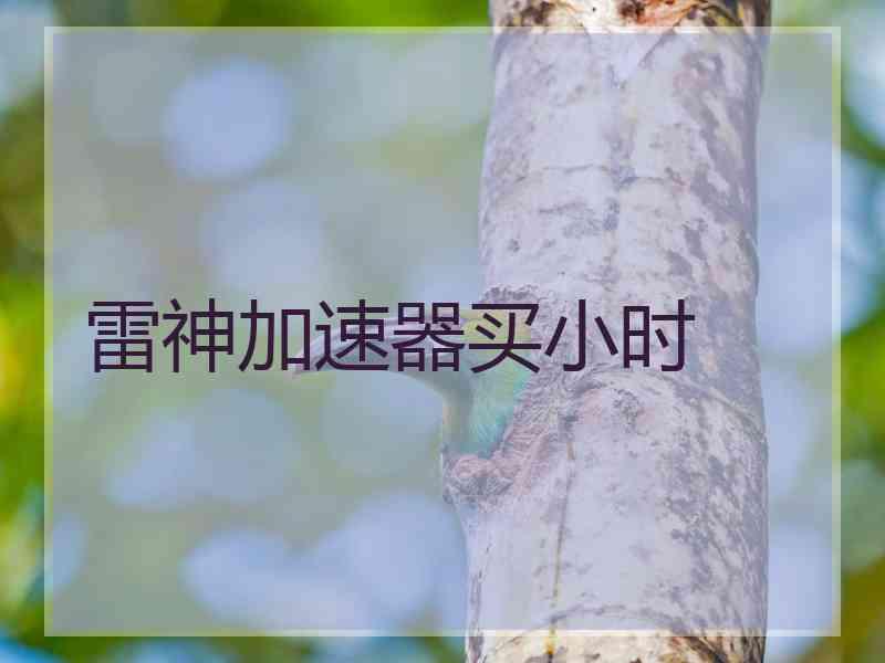 雷神加速器买小时