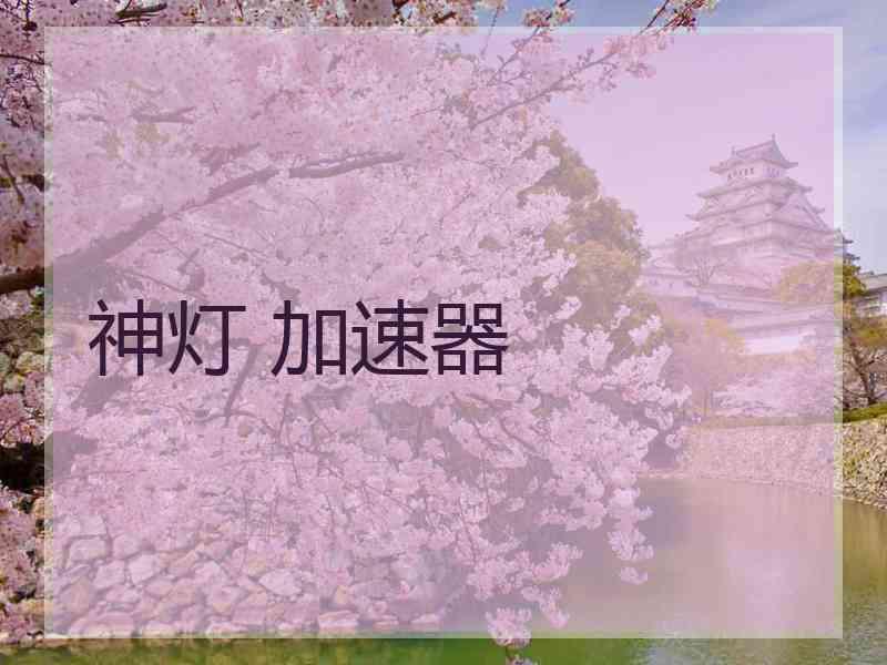 神灯 加速器