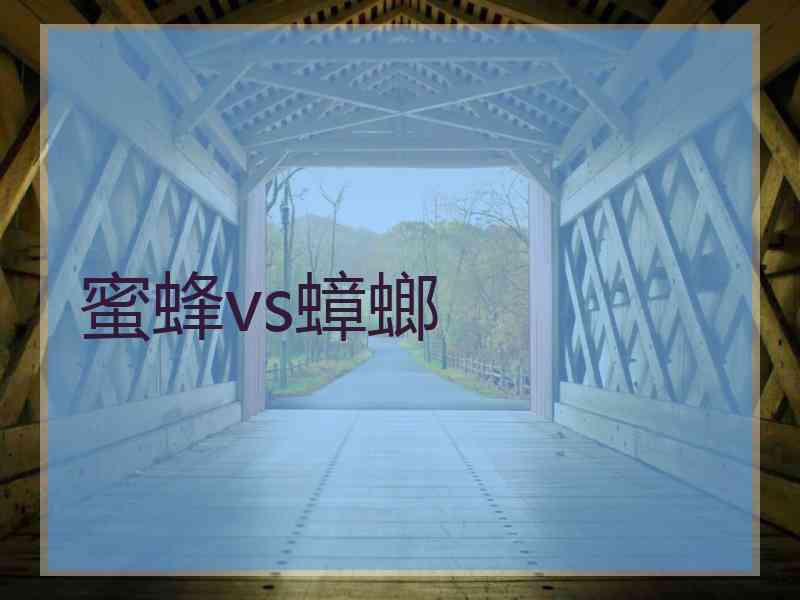 蜜蜂vs蟑螂