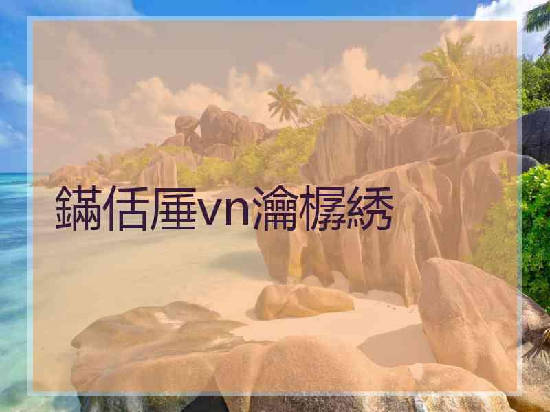 鏋佸厜vn瀹樼綉