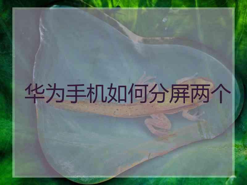 华为手机如何分屏两个