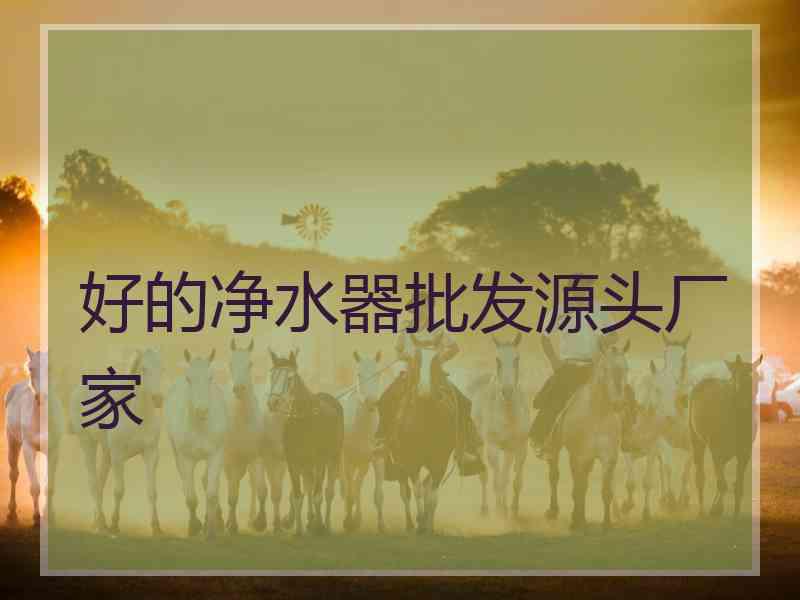 好的净水器批发源头厂家
