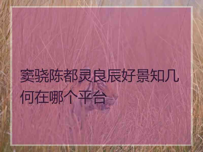 窦骁陈都灵良辰好景知几何在哪个平台