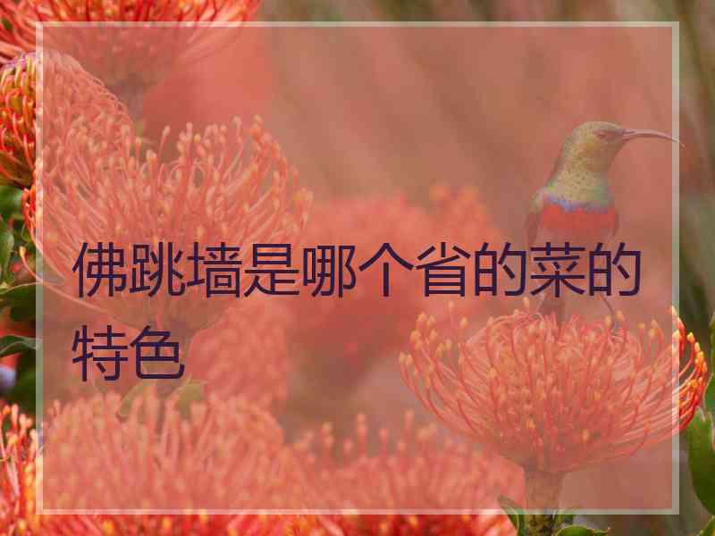 佛跳墙是哪个省的菜的特色