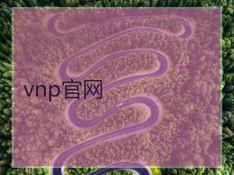 vnp官网