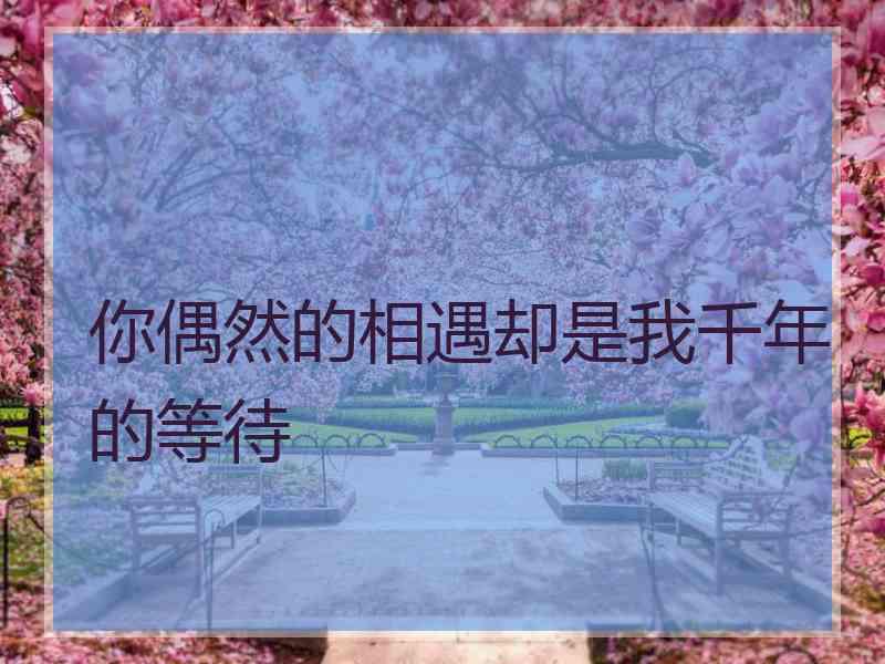 你偶然的相遇却是我千年的等待
