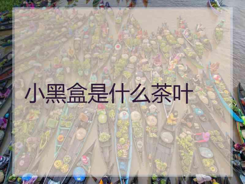 小黑盒是什么茶叶