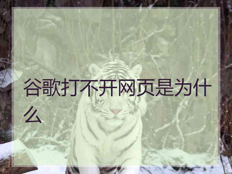 谷歌打不开网页是为什么