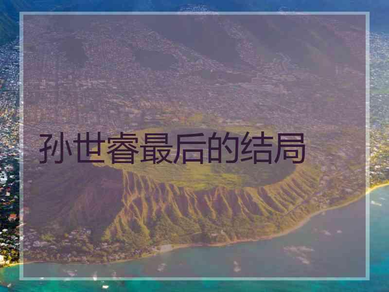 孙世睿最后的结局