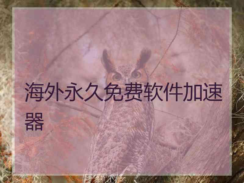 海外永久免费软件加速器