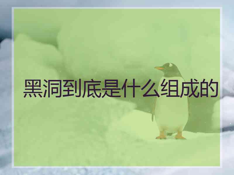 黑洞到底是什么组成的