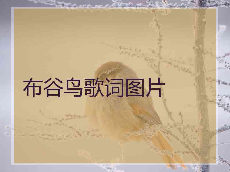 布谷鸟歌词图片