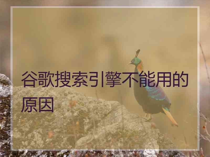 谷歌搜索引擎不能用的原因