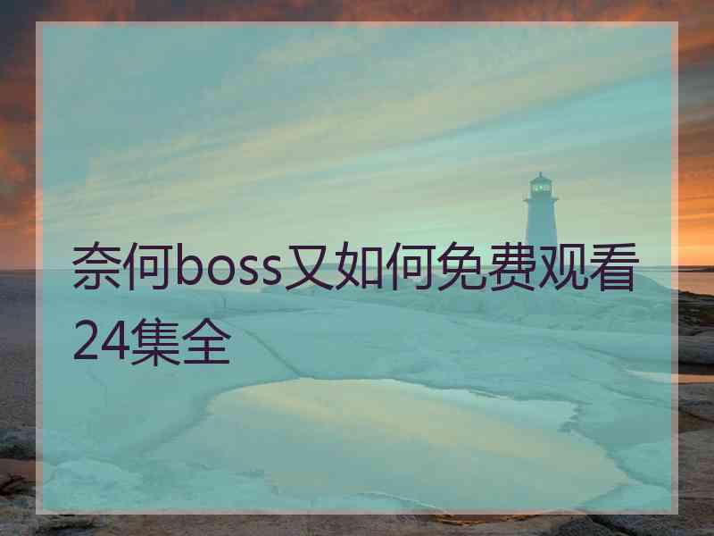 奈何boss又如何免费观看24集全
